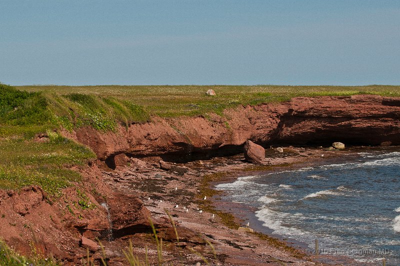 20100720_155609 Nikon D300.jpg - Seascape south of Perce QC, Gaspe peninsula.
